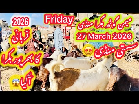 Friday 🔥 Memon Goth Bakra Mandi Latest Rates Updates After Ramzan ❤️|| 27 March 2026 | Bakra Mandi