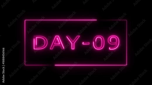 Day 09 , Glowing neon inscription DAY 09 . Neon text animation calendar, text, number, days, date, counter neon text concept on black background.
