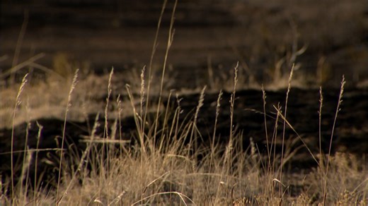 Dry winter tests Colorado counties as some switch emergency alert systems