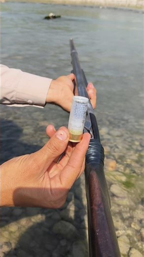 Stevens Shotgun 12 Gauge - A Classic Beauty!