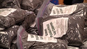 Everyone Can Compost!