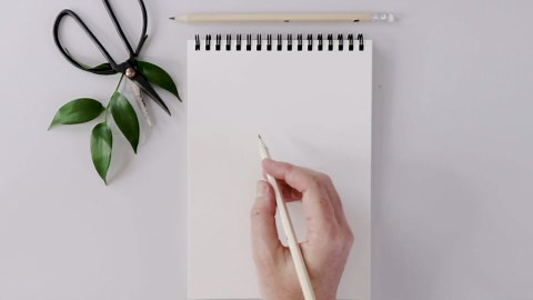 How To Draw Carnations | Floral Illustration