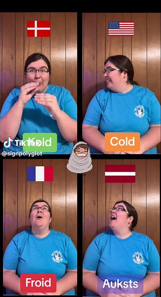 How to sign #COLD in Danish, French, Latvian and American Sign Language 🥶 #asl #signlanguage #languages #french #latvian #france #cold #denmark #danmark #france #fyp #latvia #languagelearning #viral #tiktok #coldweather #interesting #learnwithtiktok #diversity #1min