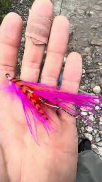 DAY 1 - my first steelhead & salmon fishing trip