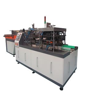 [Hot Item] Bottle Can Case Packer Carton Case Packing Machine