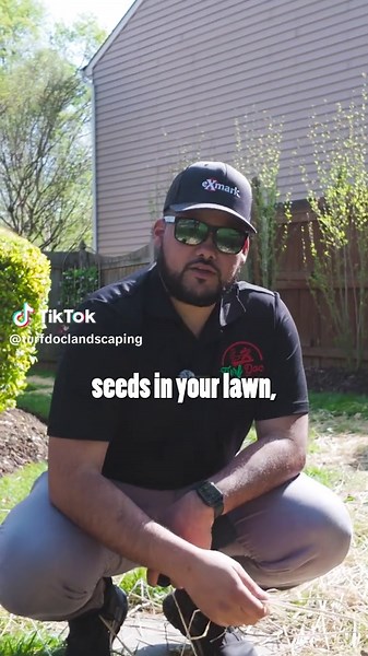 The Importance of Straw for Lawn Seed Protection