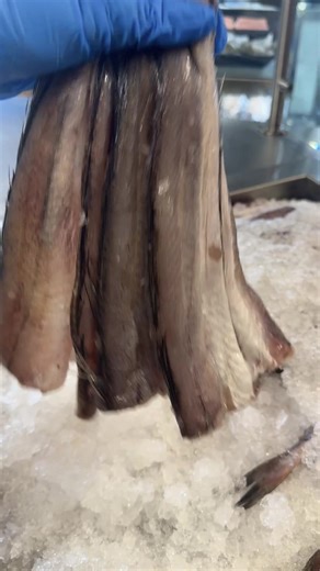 Discover Fresh Seafood Delights in Baltimore