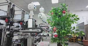 Chinese researchers develop apple-picking robot for real-world application