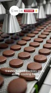 How Oreo Cookies Are Really Made: Inside the World’s Most Famous Cookie Factory