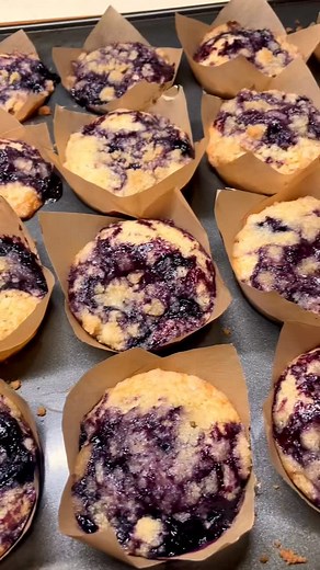 Blueberry Crumb Muffins 🫐🧁 These will turn anyone into a morning person 🤤 Full recipe is at the end! 💙 #muffins #breakfastideas #easyrecipe #baking #blueberrymuffins | Tori and Nessa
