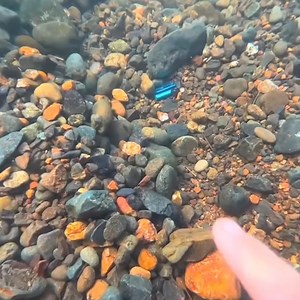 844K views · 9.6K reactions | How many blue objects can you spot?  | Finn's Reality | Facebook