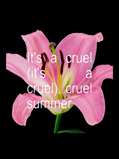 Cruel Summer: Ace of Base Lyrics and Aesthetic