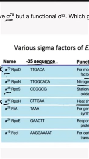 sigma factors of replication #cbsebiology #biology #cellbiology #ncertbiology #bioboostcbse