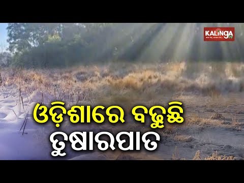 Heavy Snowfall & Frost in Koida, Sundargarh as Night Temperature Falls Below 5°C | Kalinga TV