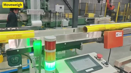 Online dynamic checkweigher, weigh each product’s and record the weight data #checkweigher