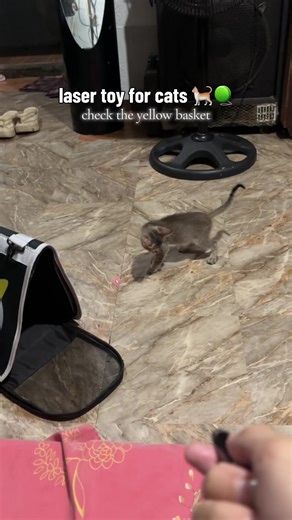 Interactive Laser Toy for Cats