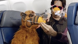 Delta's Awesome '80s Safety Video: How ALF, One Of The Guys From Devo, And Kareem Abdul-Jabbar Wound Up On The Same Flight