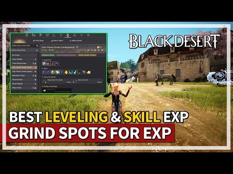 Best Grind Spots for Fast Leveling and Skill EXP | Black Desert