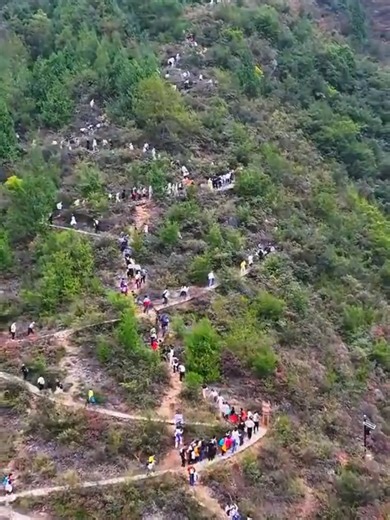 መንጋቱ አይቀርም