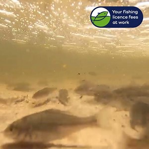 3.2K views · 58 reactions | Another record? You don't say!  Today...