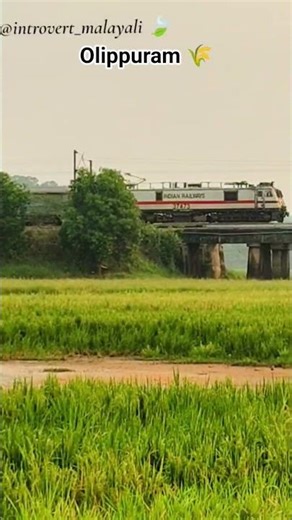 Green Fields & Passing Train 🌿🚂 #shorts #train #nature