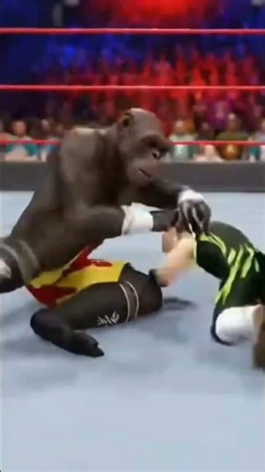 Tiny Babies WWE Battle So Funny