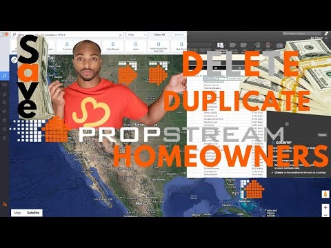 Propstream duplicate HOMEOWNER removal | Wholesale Real Estate | How to filter list in excel #data