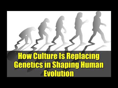 How Culture Is Replacing Genetics in Shaping Human Evolution
