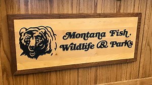 Mountain lion hunting to close in 3 areas