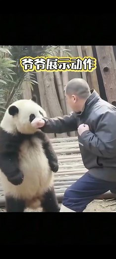 Kung Fu Panda in REAL LIFE!