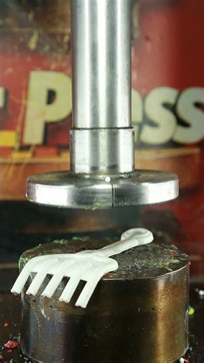 What was that? He resisted.