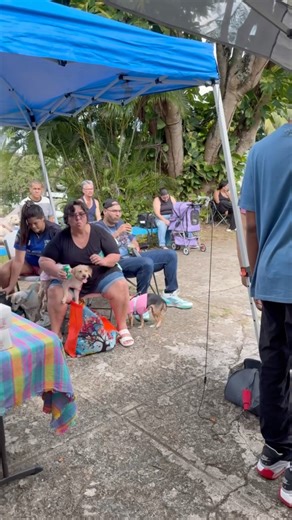 4.5K views · 131 reactions | Watch Lucky Dog Animal Rescue in Action!...