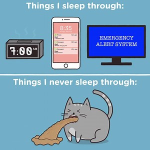 94K views · 2.1K reactions | They should really make an alarm clock that sounds like a puking cat. 樂 | Meowingtons | Facebook