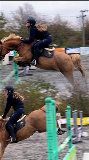 The main boy is unreal love him so much always try’s his best x #equestrian #ponies #lovewhatwedo #horsesoftiktok #showjumpingsisters #stablegirls #pony #riding