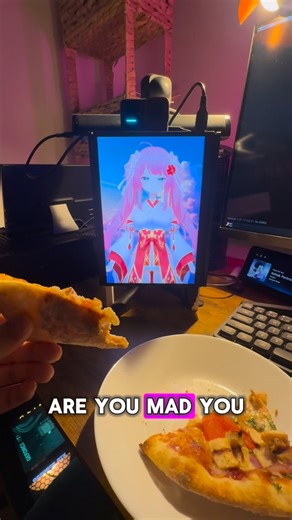 MekaHime on Instagram: "Amika’s vision-language-model integration is going well, a bit too well."