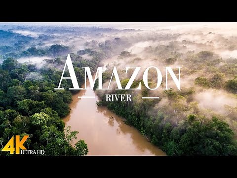 Amazon River 4k - Stungning Nature Landscape Of Amazon Rainforest, Jungle River | 4k Relaxation Film