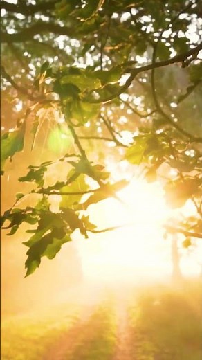 Melodias Mas Romanticas Instrumentales Musica Instrumental De Oro Del Recuerdo #musicaromantica