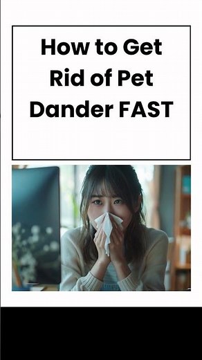 10 Ways to Get Rid of Pet Dander FAST