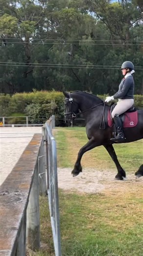 Two scores over 70% and Grade 1 Champion 🏆 — a great run through the Gr1 before PCV States! 🖤 Wearing my Sabi Equestrian biscotti beige 😍 Beanie is supported on TuffRock Australia supplements 🌱 Wearing subtle jewellery from @horsemom.co.nz #equestrian #friesianhorse #friesian #dressage #reel #exploremore | Sara Leitch Equestrian