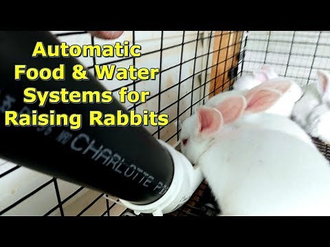 Our Rabbit Self Feeding and Watering Systems by a ‪@GettinJunkDone‬