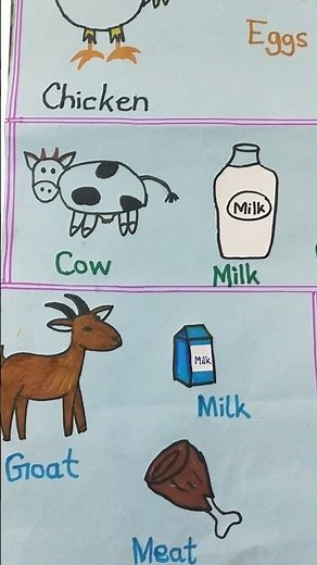 Food items we get from Animals.