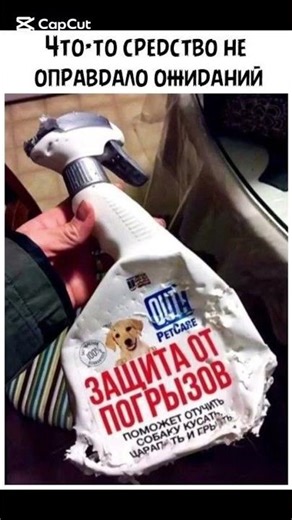 #шутки #юмор #приколы