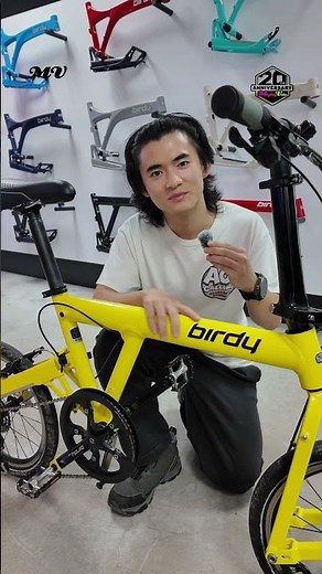 Classics never fade... they just get an upgrade!