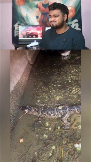 Sorry Uncle Sorry!" 😂 Magarmach Se Panga Pada Mehenga 🐊 #shortsfeed #funny #comedy #viral