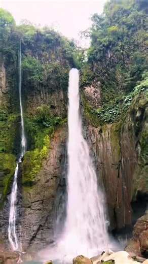 The pura vida lifestyle 🇨🇷 📲 DM “COSTA RICA” to get full details and personalize your itinerary! Your dream Costa Rica getaway is just one message away. 🇨🇷💛🌴 #traveltocostarica #costarica #travel #visitcostarica #costaricatravel