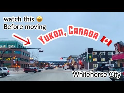 Yukon, Canada | Must know this before going to Yukon + Driving around Whitehorse city in Winter time