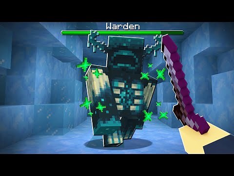 How much HEALTH does the Minecraft WARDEN have?