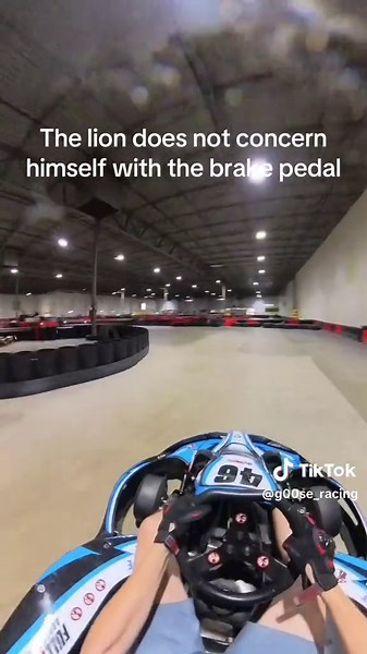 The Lion Does Not Concern Himself With The Brake Pedal