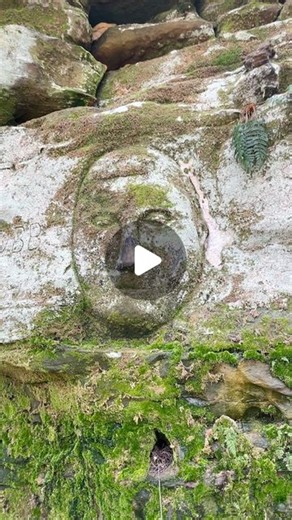 Cleveland With Kids on Instagram: "Come hike Worden’s Ledges with us! Walk the trails to discover unique, hand-carved sculptures etched into the stunning sand ledges. The trails seem otherworldly with its giant rock formations and beautiful greenery. We seem to discover a new carving that we missed the time before with each visit. The carvings by Noble Stuart are a mix of historical figures and people from Stuart’s life. This captivating loop trail is less than a mile long, making it perfect for