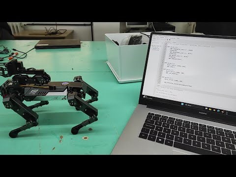 XGO. Proves de locomoció - avançar sigilós